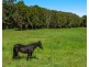 66a Fig Tree Hill Drive, Lennox Head NSW 2478