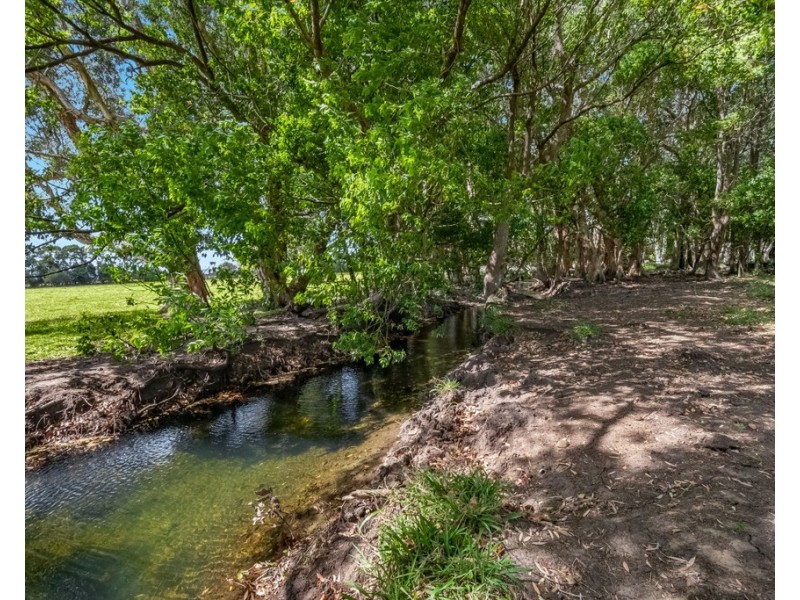 207 Martins Lane, Knockrow NSW 2479