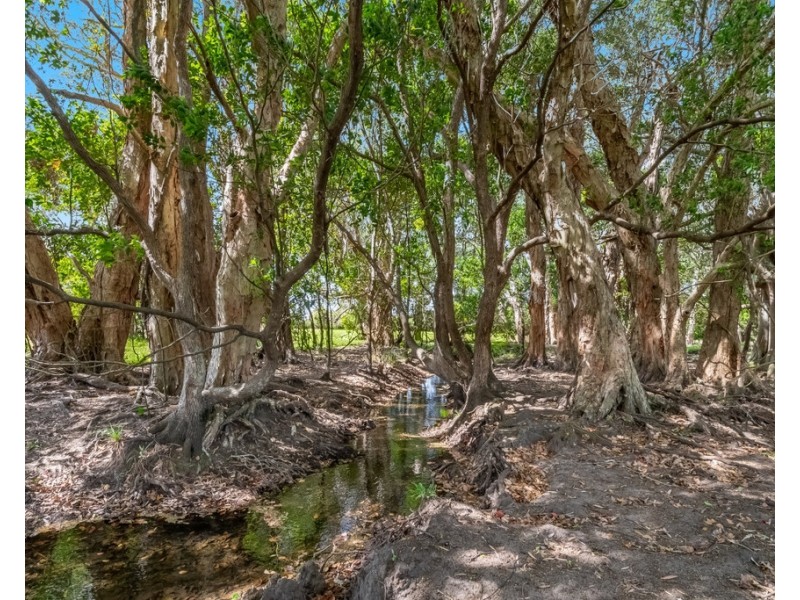 207 Martins Lane, Knockrow NSW 2479