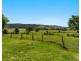 207 Martins Lane, Knockrow NSW 2479