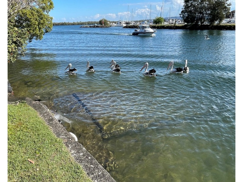 10 Norlyn Avenue, Ballina NSW 2478