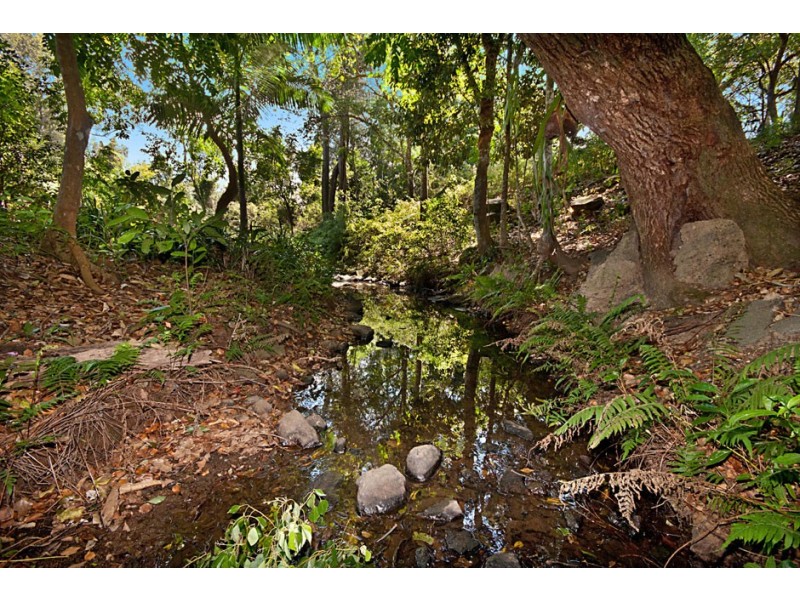 431 Hinterland Way, Knockrow NSW 2479