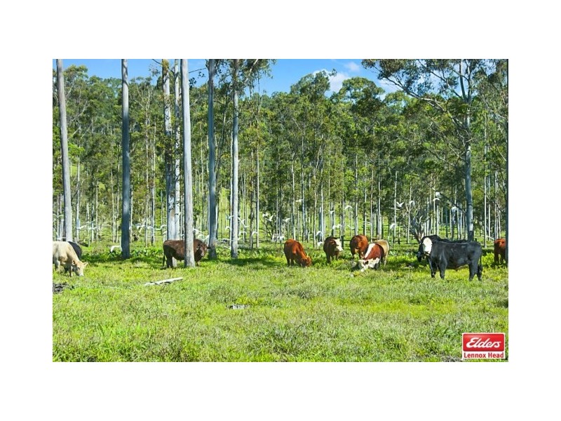 86 Foresters Way, Tintenbar NSW 2478