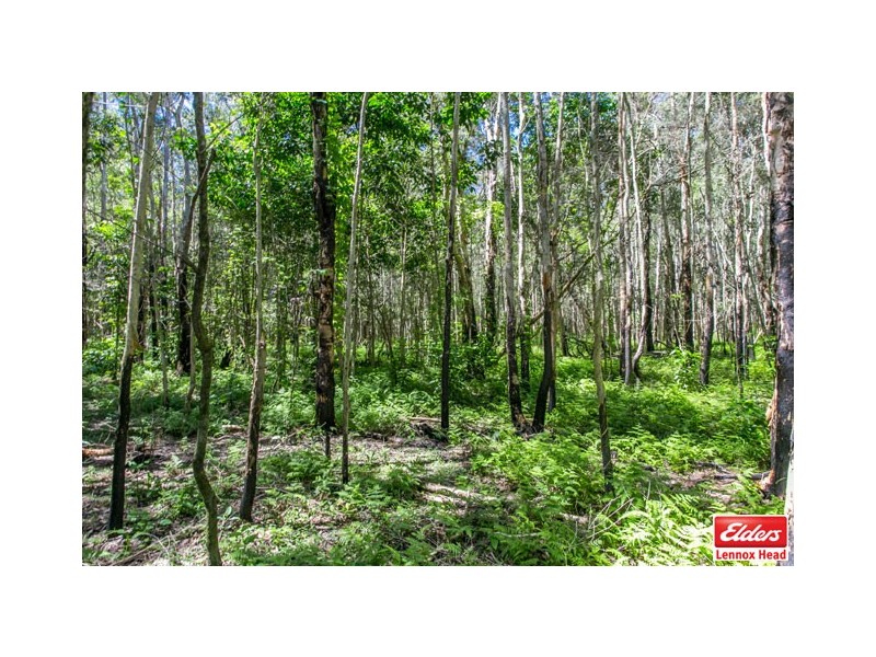 42 Tobin Close, Lennox Head NSW 2478
