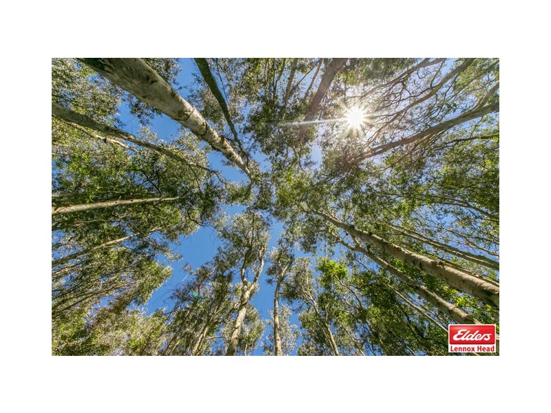 42 Tobin Close, Lennox Head NSW 2478