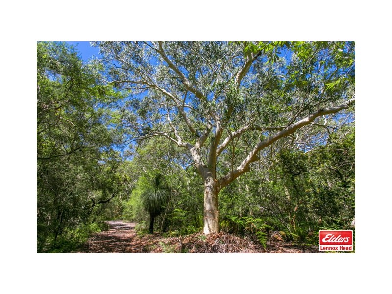 42 Tobin Close, Lennox Head NSW 2478