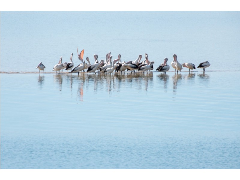 203/300 ‘Aqua’ Marine Parade, Labrador QLD 4215