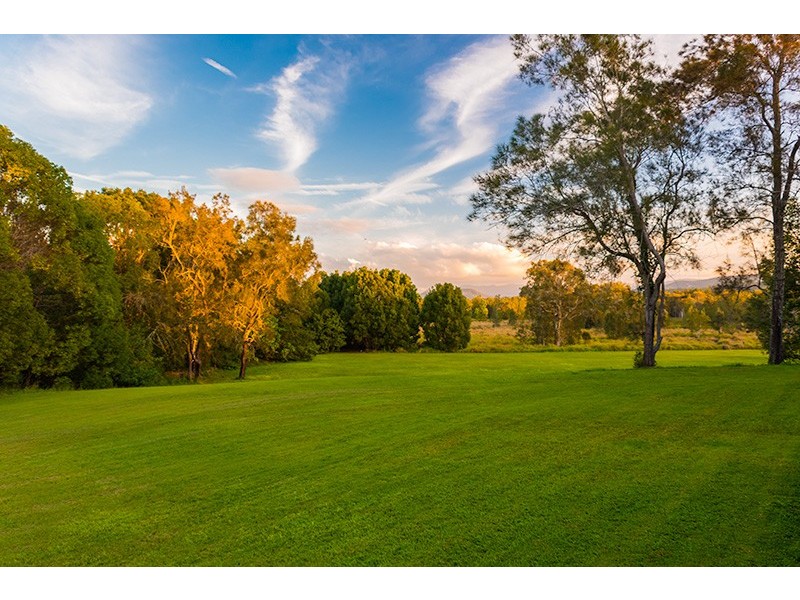 154 Alison Road, Carrara QLD 4211