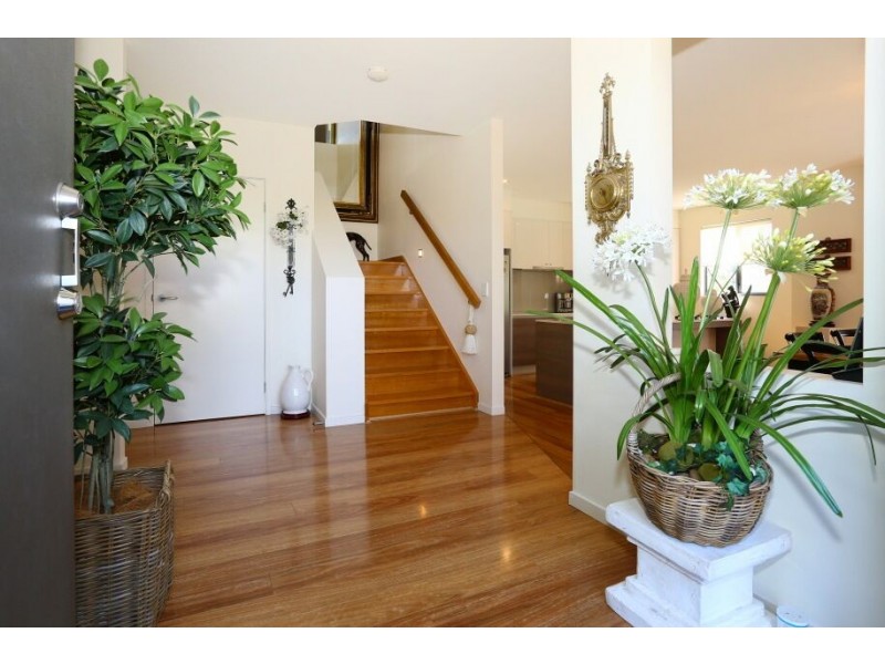 1/2 Allamanda Grove, Bundall QLD 4217