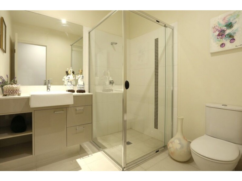 1/2 Allamanda Grove, Bundall QLD 4217