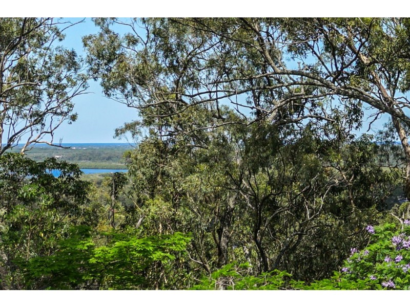 19 Highvale Drive, Helensvale QLD 4212