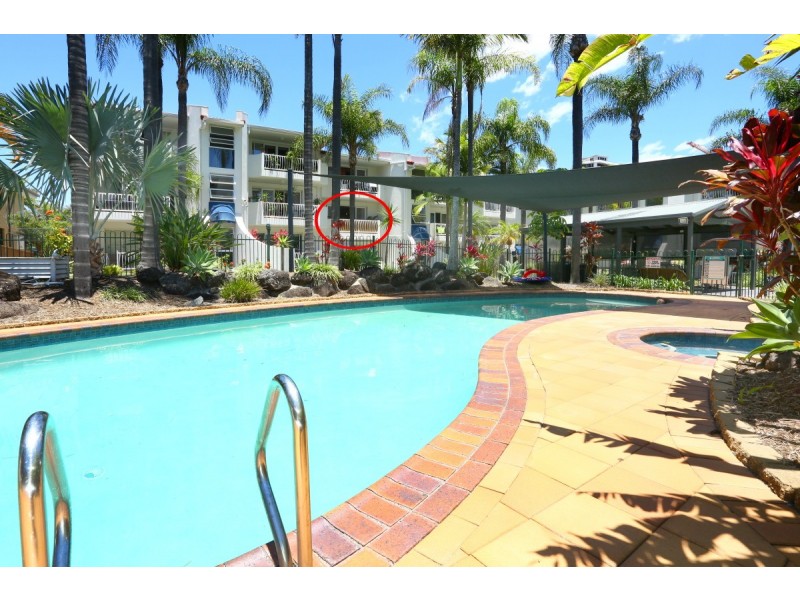 17/17 Genoa Street, Surfers Paradise QLD 4217