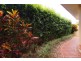 46 Sir Bruce Small Blvd, Benowa Waters QLD 4217