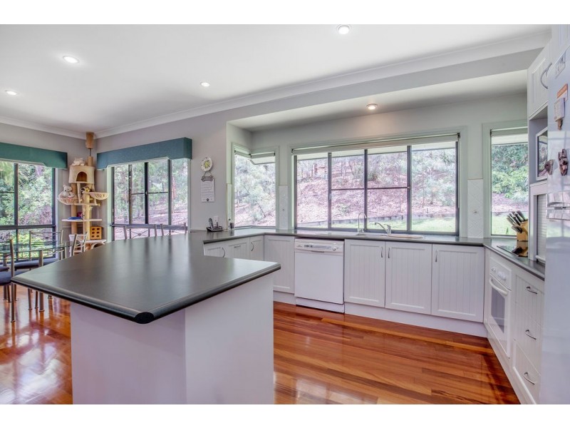 16A Asher Court, Upper Coomera QLD 4209