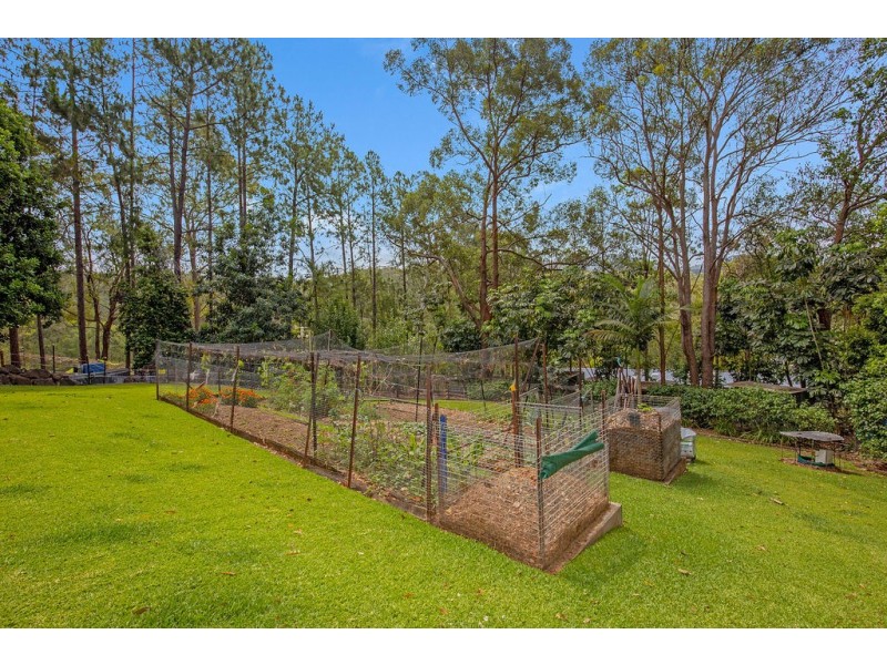 16A Asher Court, Upper Coomera QLD 4209