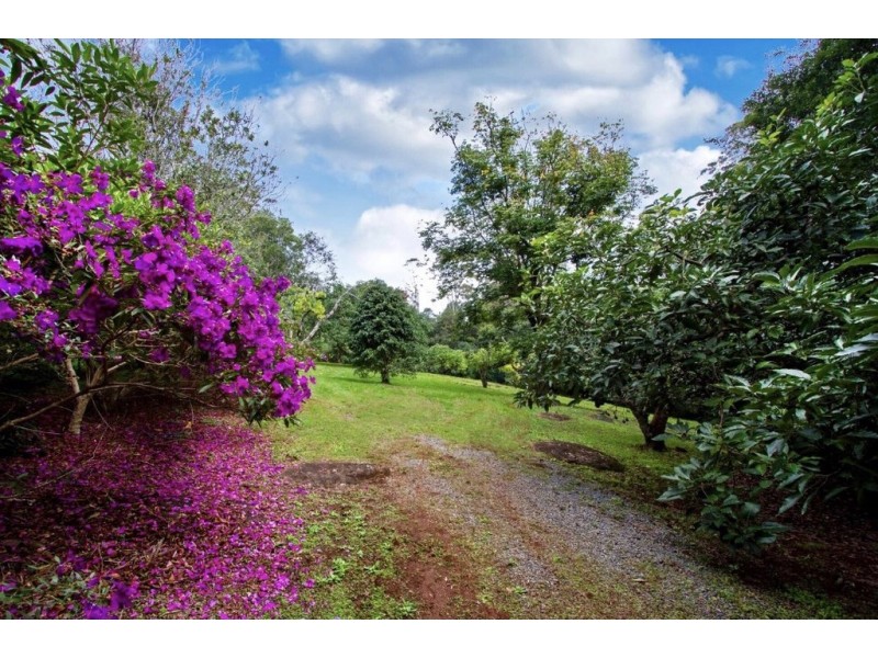 82 Wongawallan Road, Tamborine Mountain QLD 4272