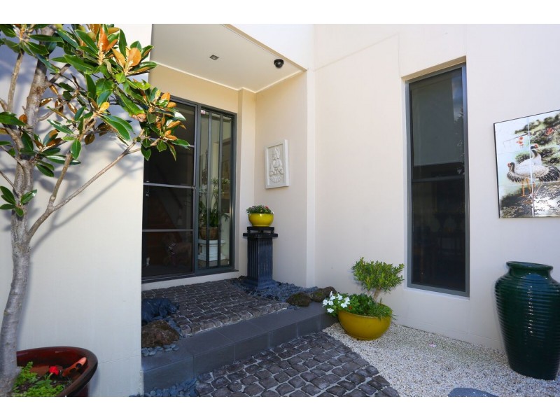 1/2 Allamanda Grove, Bundall QLD 4217