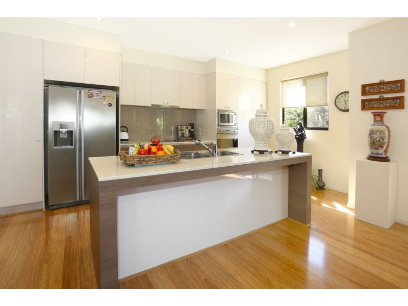 1/2 Allamanda Grove, Bundall QLD 4217