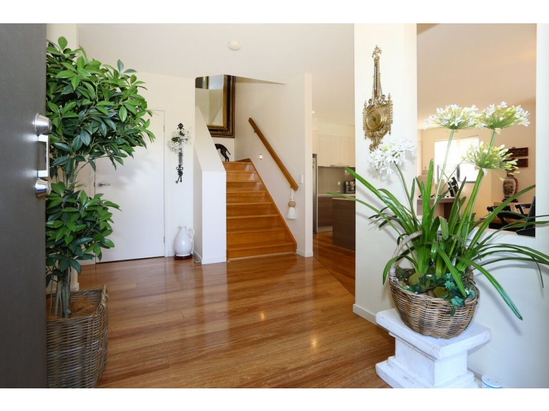 1/2 Allamanda Grove, Bundall QLD 4217