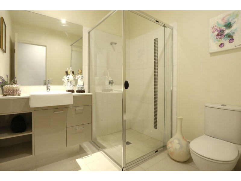 1/2 Allamanda Grove, Bundall QLD 4217