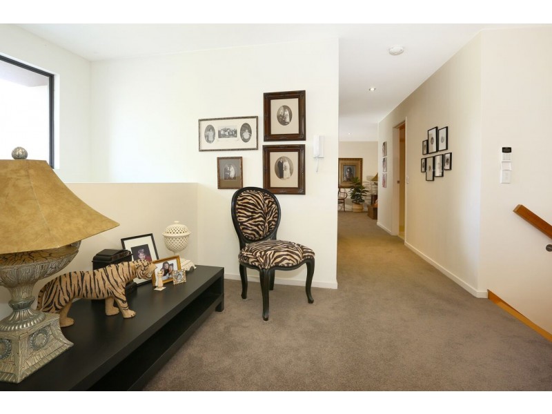 1/2 Allamanda Grove, Bundall QLD 4217