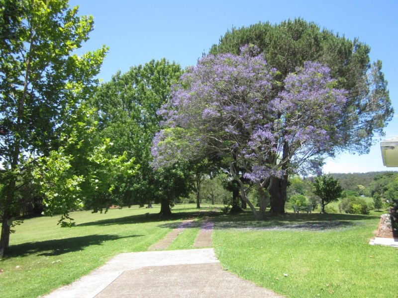 95 Velvet Downs Road, Springbrook QLD 4213