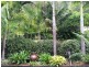 Currumbin Valley QLD 4223