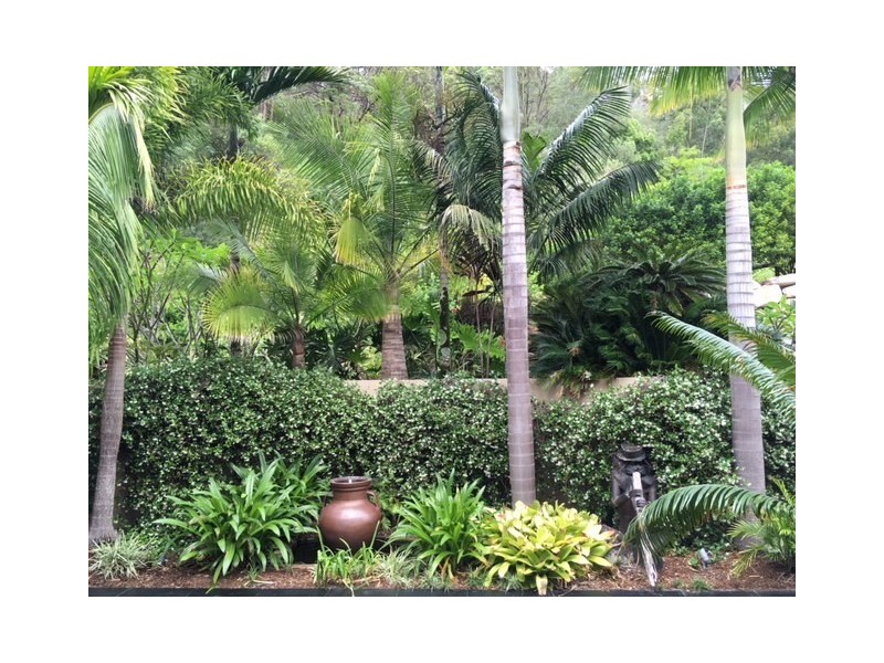 Currumbin Valley QLD 4223