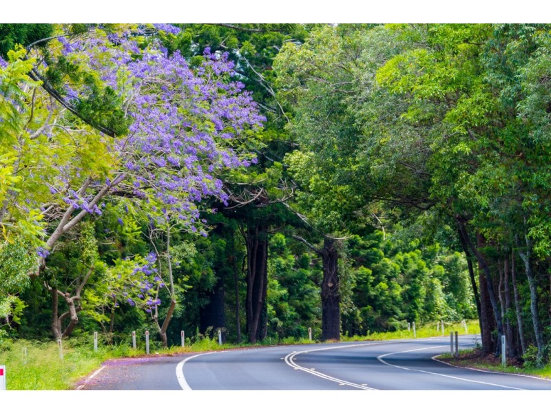 Currumbin Valley QLD 4223