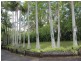 83 Bateke Road, Tamborine Mountain QLD 4272