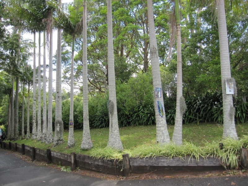 83 Bateke Road, Tamborine Mountain QLD 4272