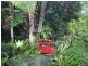 83 Bateke Road, Tamborine Mountain QLD 4272