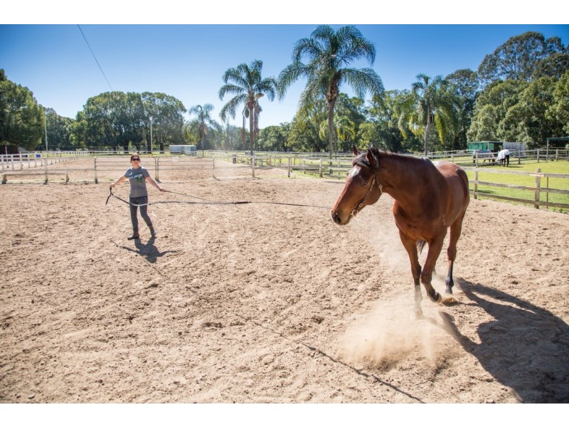 39 Koombahla Drive, Tallebudgera QLD 4228