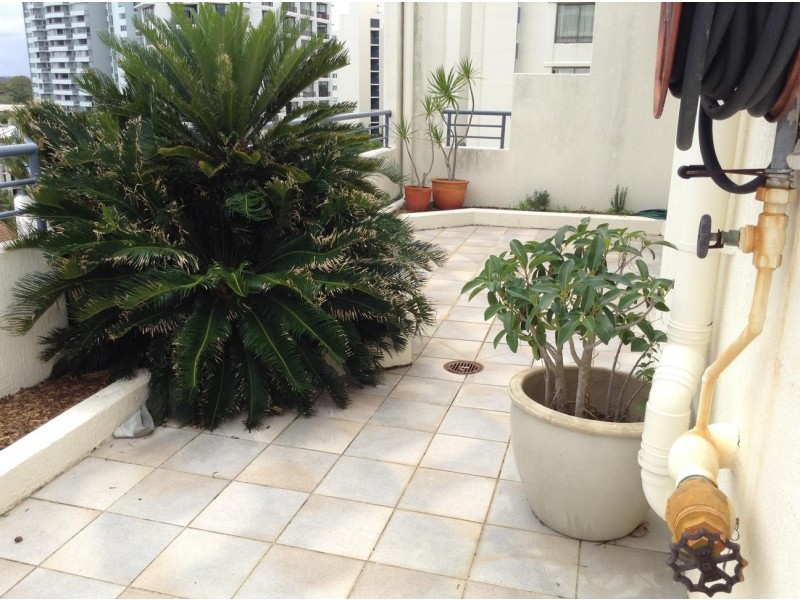 6/314 Marine Parade, Labrador QLD 4215