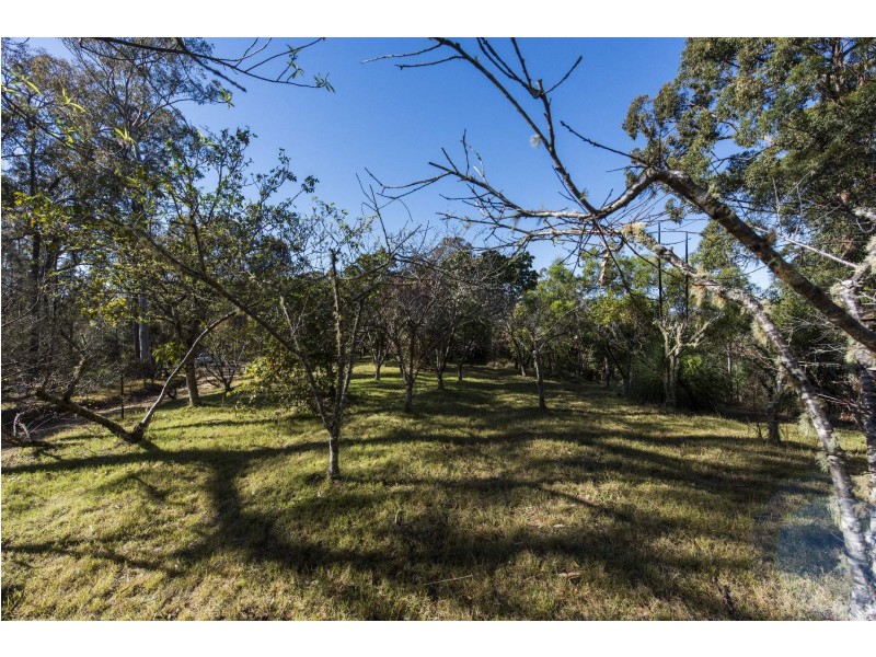 262 Black Mountain Road, Nymboida NSW 2460