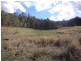 624 Smiths Creek Road, Copmanhurst NSW 2460