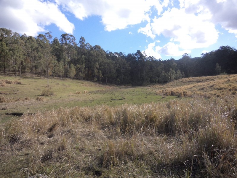 624 Smiths Creek Road, Copmanhurst NSW 2460