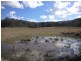 624 Smiths Creek Road, Copmanhurst NSW 2460