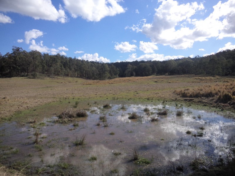 624 Smiths Creek Road, Copmanhurst NSW 2460