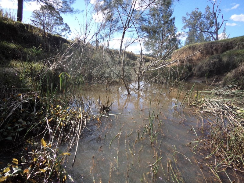 624 Smiths Creek Road, Copmanhurst NSW 2460