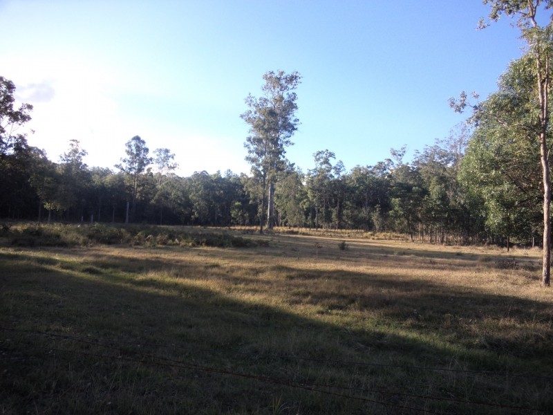 488 Upper Fine Flower Road, Upper Fine Flower NSW 2460