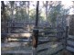488 Upper Fine Flower Road, Upper Fine Flower NSW 2460