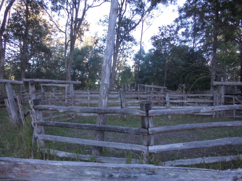 488 Upper Fine Flower Road, Upper Fine Flower NSW 2460
