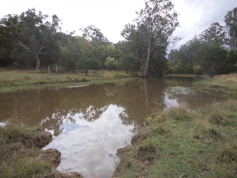 488 Upper Fine Flower Road, Upper Fine Flower NSW 2460