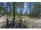 1172 CLARENCE WAY, Whiteman Creek NSW 2460