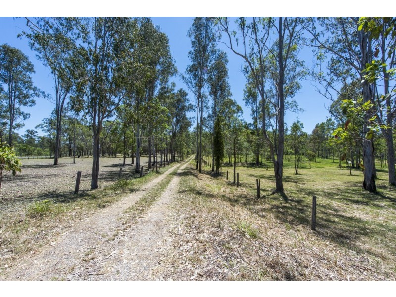 1172 CLARENCE WAY, Whiteman Creek NSW 2460