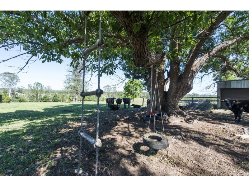 162 Geregarow Road, Coutts Crossing NSW 2460