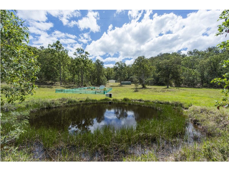 3621 Armidale Road, Nymboida NSW 2460