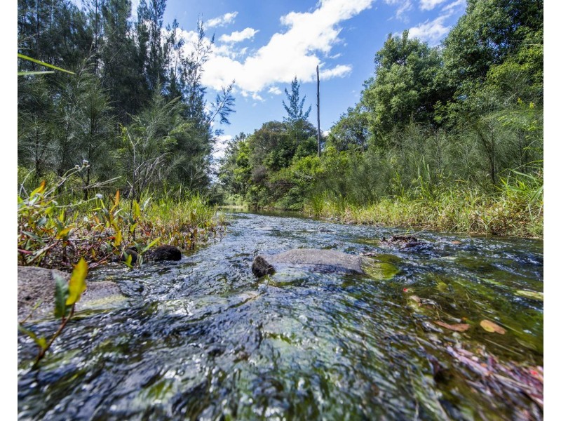 2917 Armidale Road, Blaxlands Creek NSW 2460