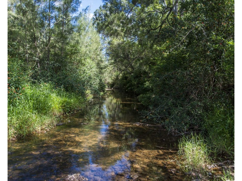 2917 Armidale Road, Blaxlands Creek NSW 2460